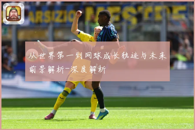 从世界第一到网球成长轨迹与未来前景解析-深度解析