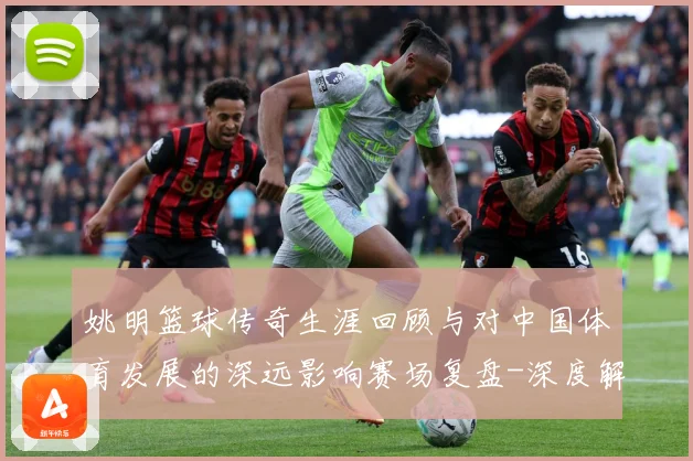姚明篮球传奇生涯回顾与对中国体育发展的深远影响赛场复盘-深度解析